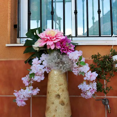 En Torrecardenas, Privada Con Terraza Guest house